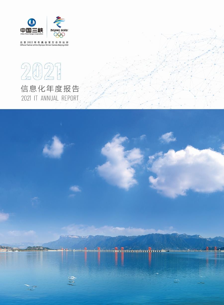 集團(tuán)公司IT年度報告2021