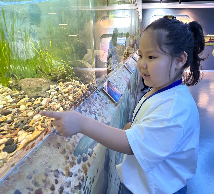 “這條小魚真可愛!” 黃欣拍攝 “這條小魚真可愛!” 黃欣拍攝